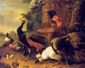 Birds - 梅尔基奥尔·德·宏德柯特